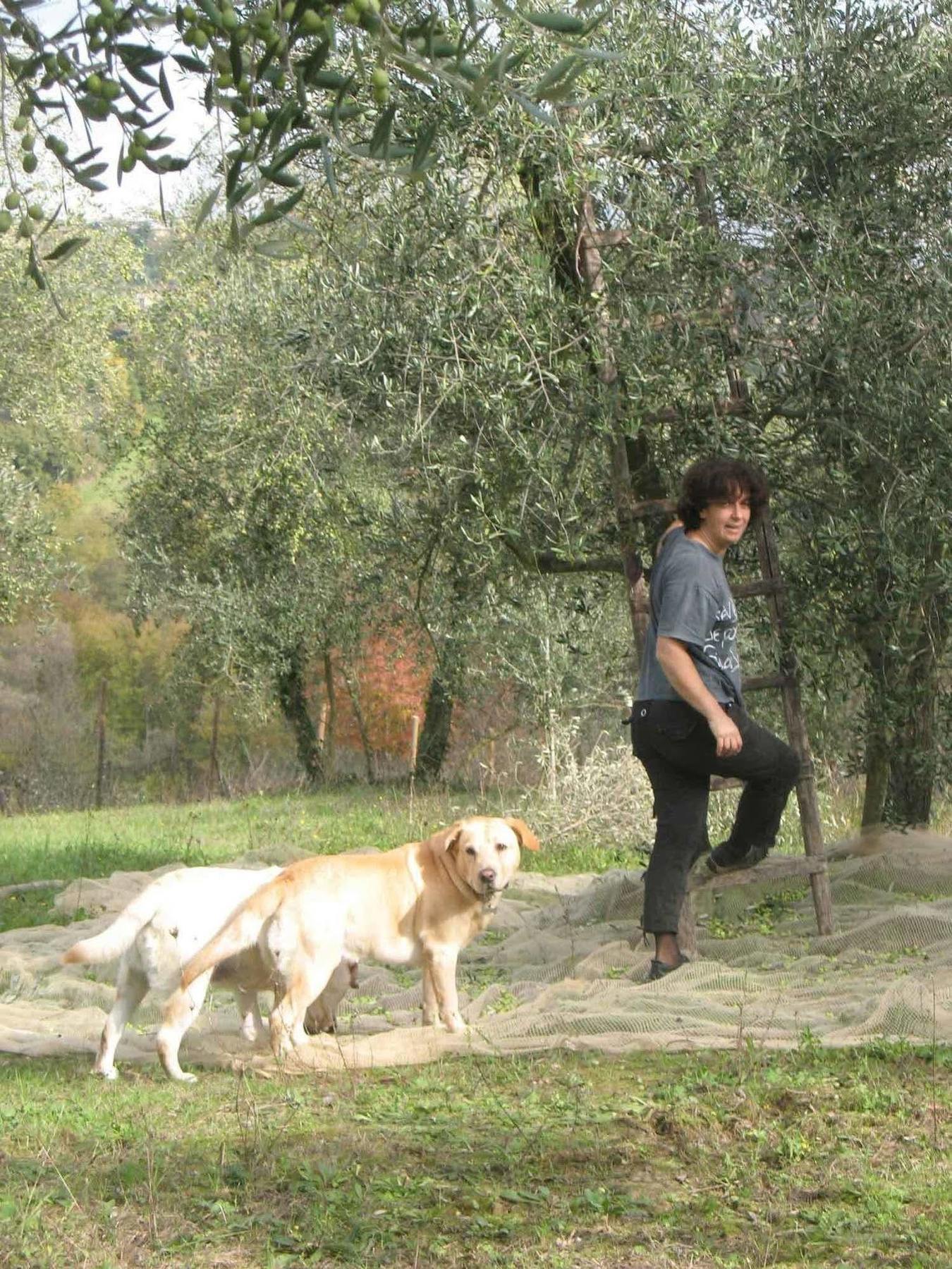 Agriturismo La Torretta